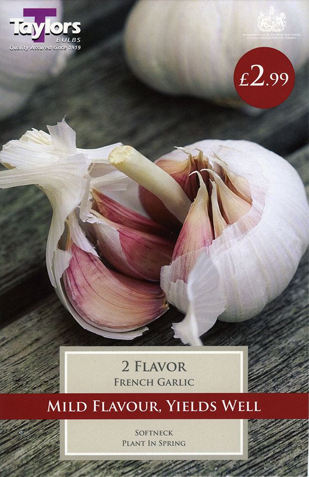 2 French Garlic Flavor Onion and Garlic sets Blackbrooks Garden Centres